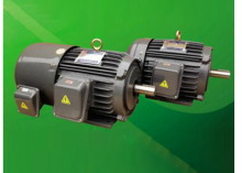 低压三相变频异步电动机